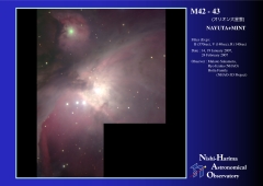 M42/M43