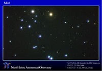 Messier 41