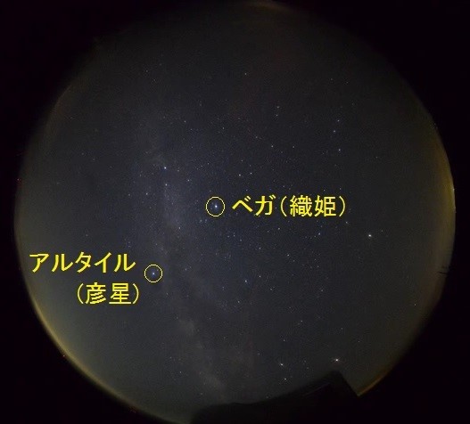 20240707tanabata.jpg