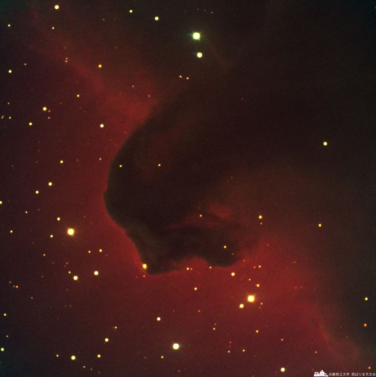 HourseHeadNebula_R.jpg