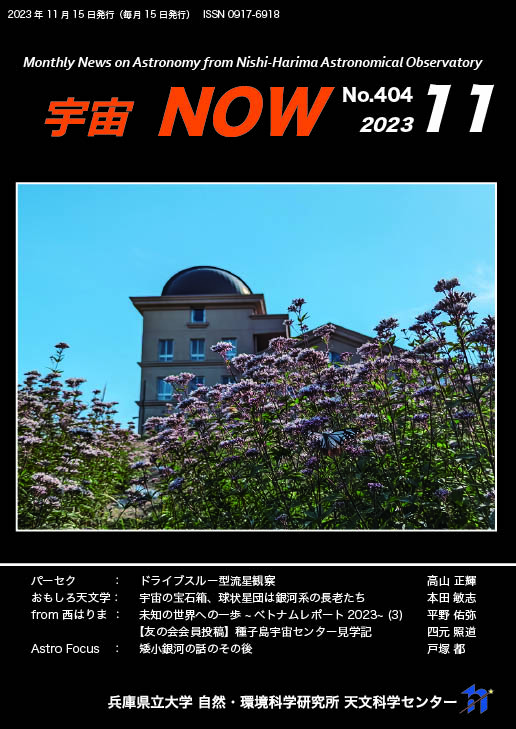 11月号