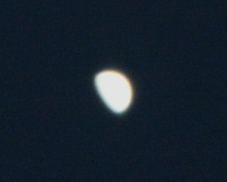 Venus_150501_tri