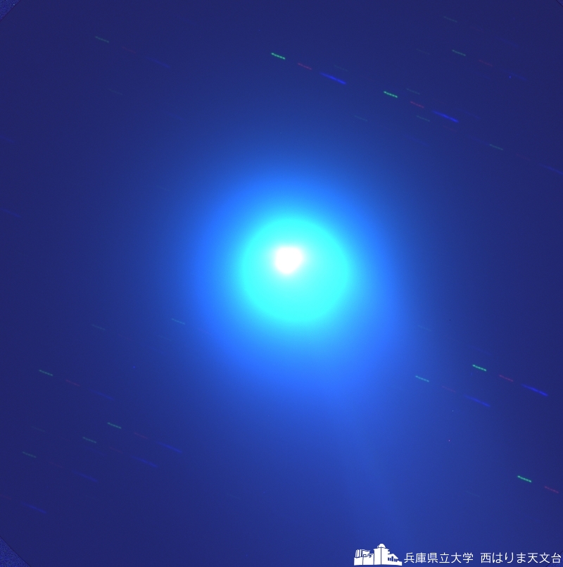 Lovejoy (BVR)