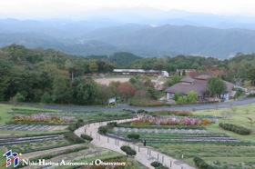 Flower Garden