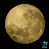 Full Moon thumbnail