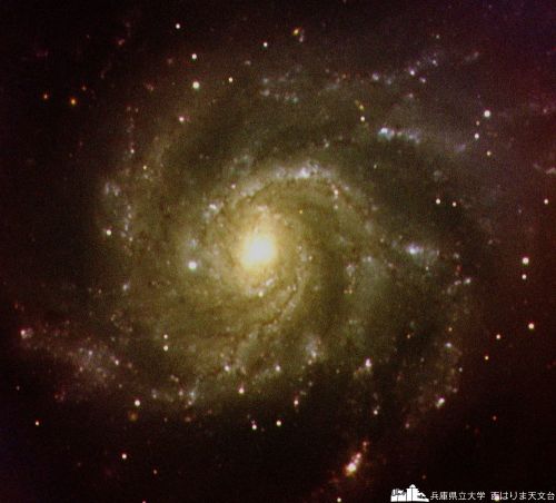 M101 (BVR)
