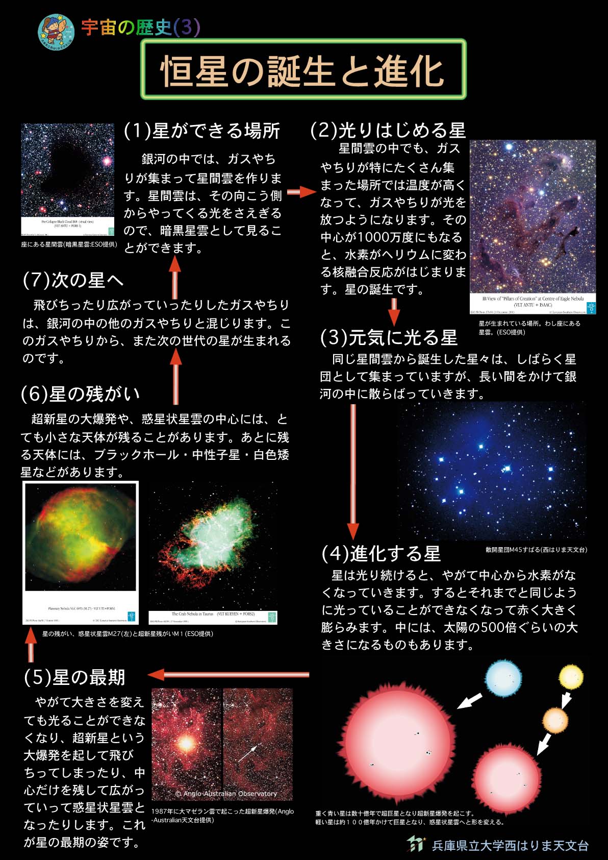 恒星の誕生と進化