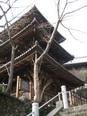 Ichijo-ji Triplet Tower 1