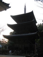 Ichijo-ji Triplet Tower 2
