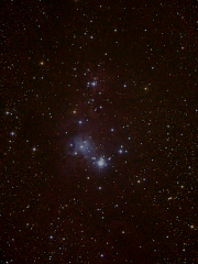 Christmas Tree Cluster