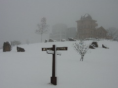 Snow on Dec. 26, 2008