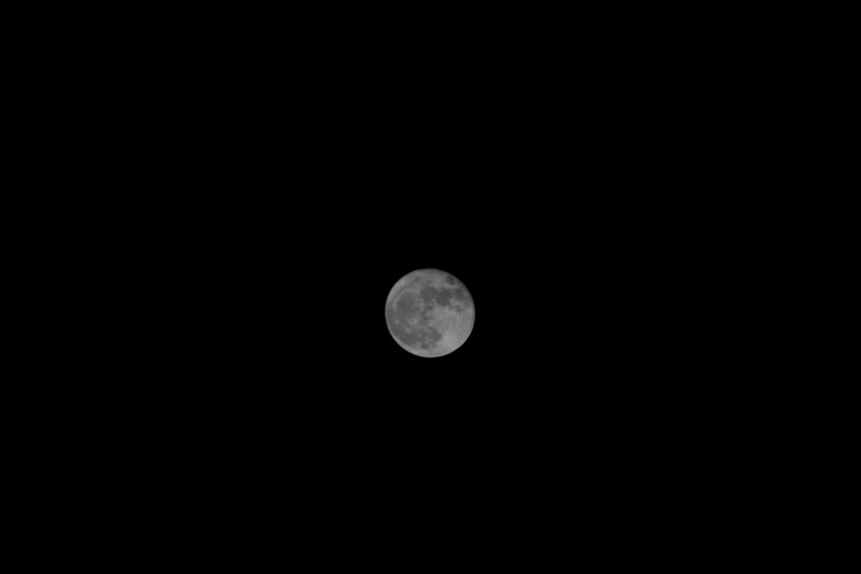 十六夜の月